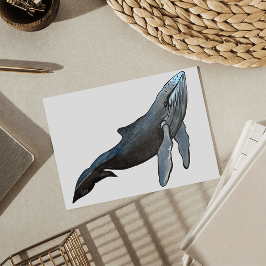 Humpback Whale Greeting Card