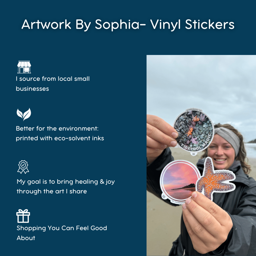 Sugar Pine Cone Sticker