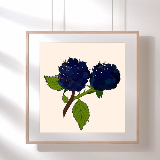 Blackberry Print