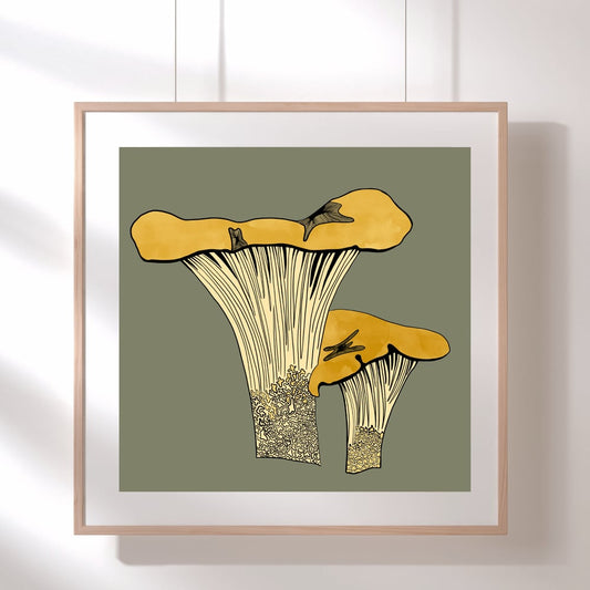 Chanterelle Square Print