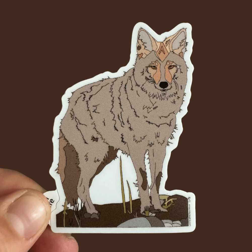 Coyote sticker