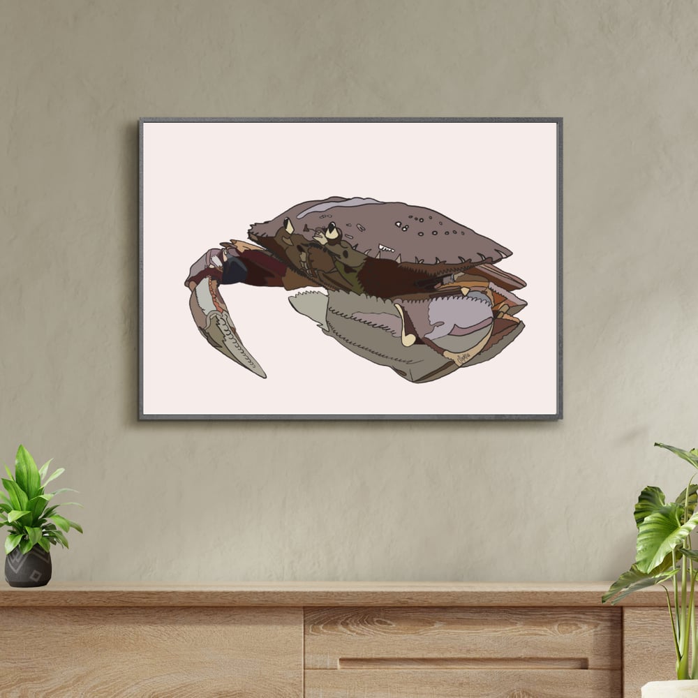 Dungeness Crab Print