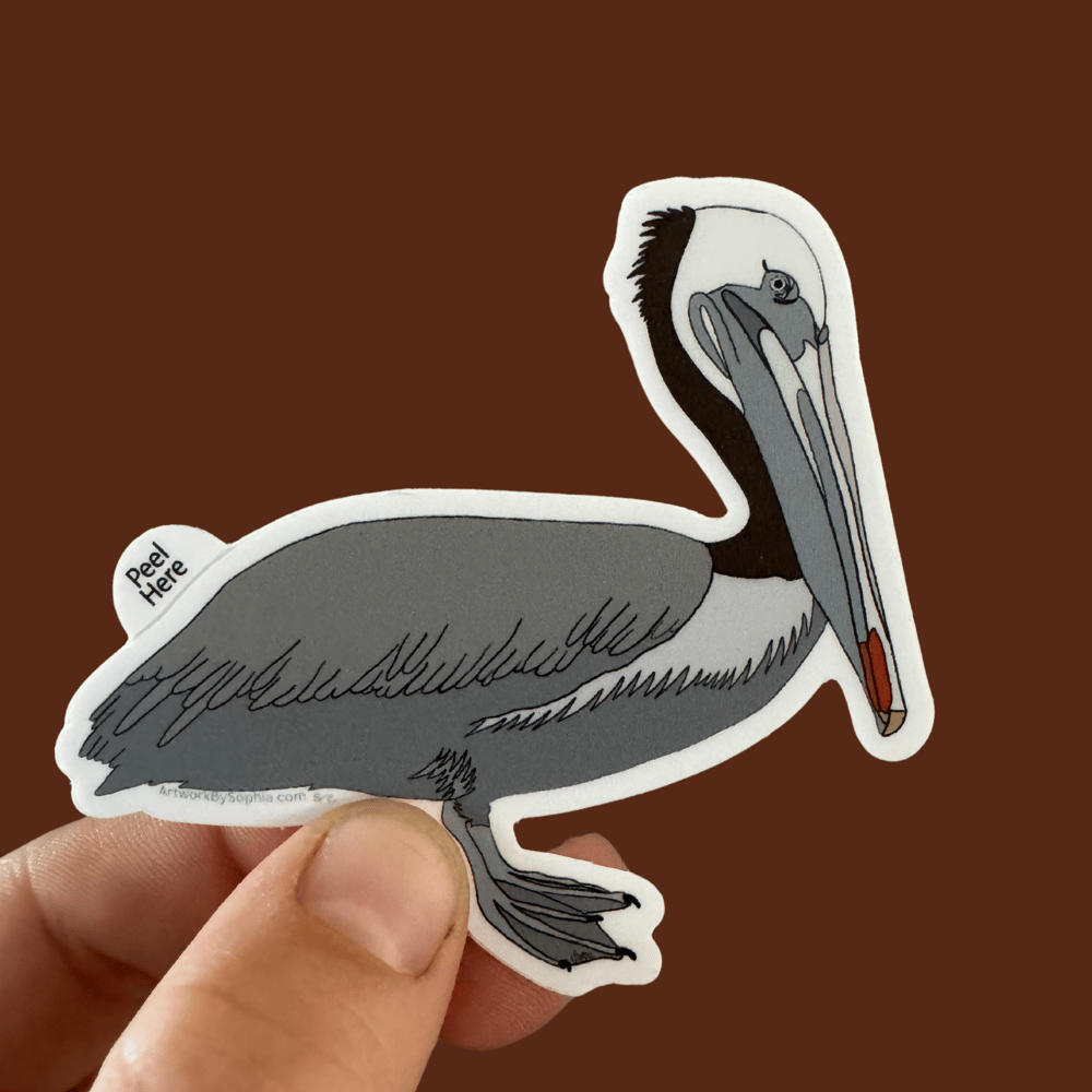 Grey Pelican 3in Sticker