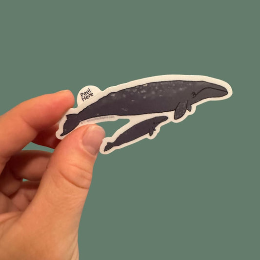 Grey Whale 3in Sticker