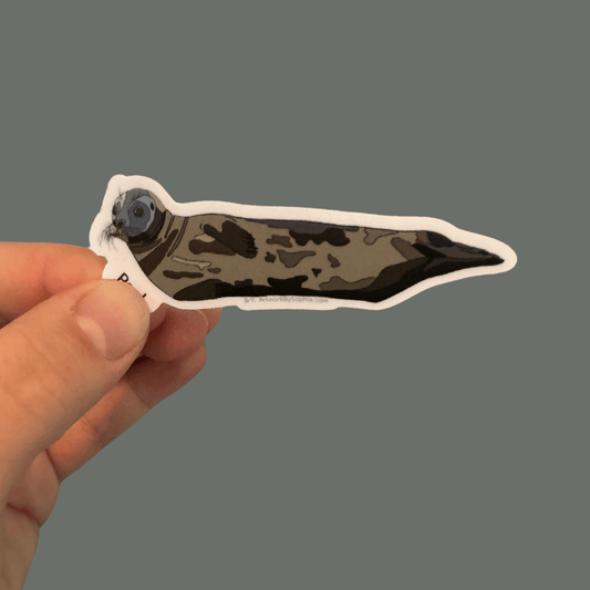 Harbor Seal 3in Sticker