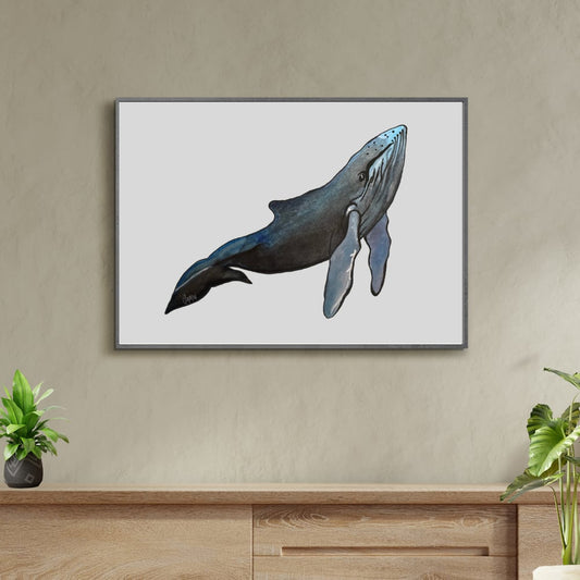 Humpback Whale Print