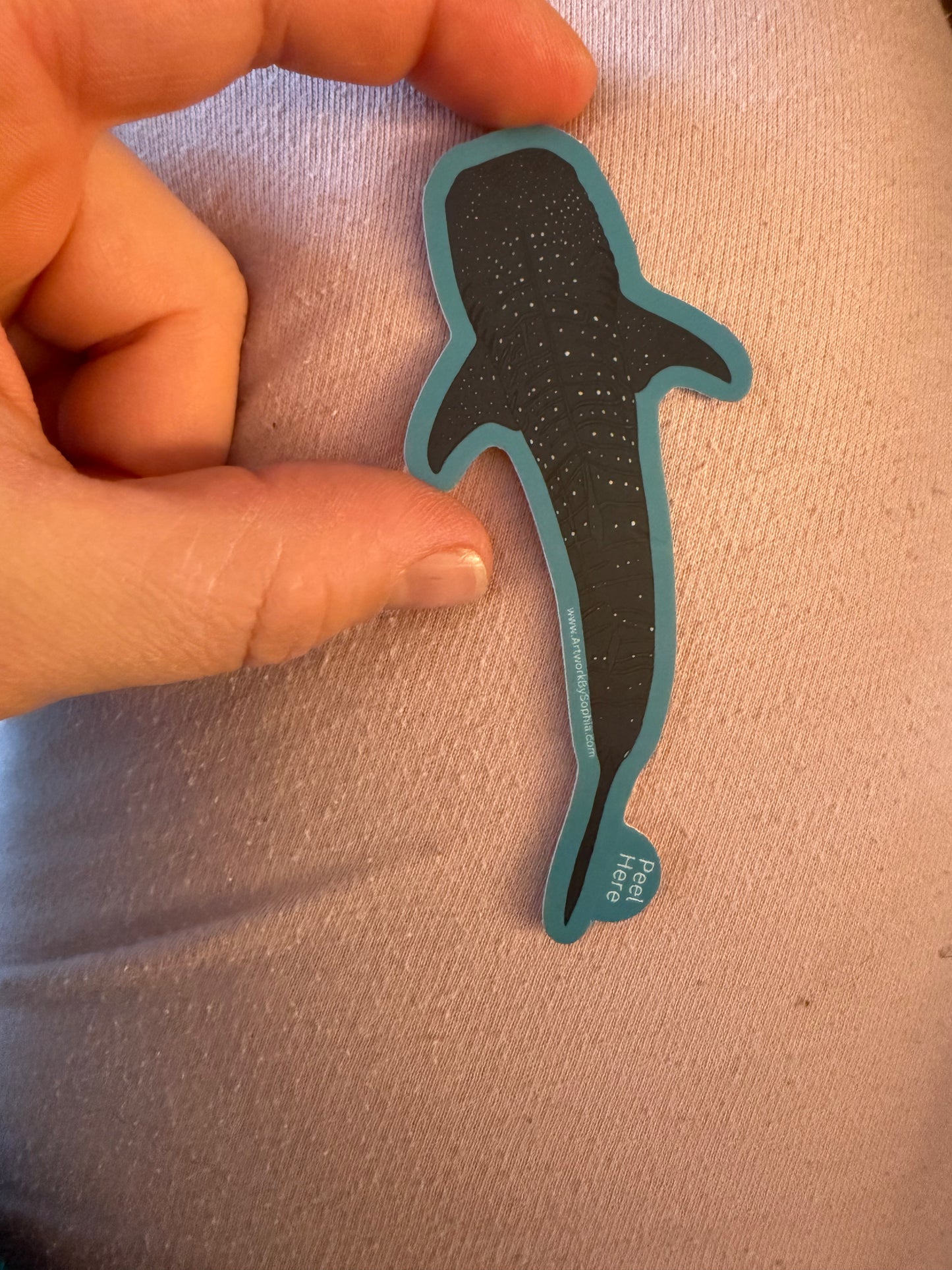 Whale Shark | Vinyl Sticker | Illustration
