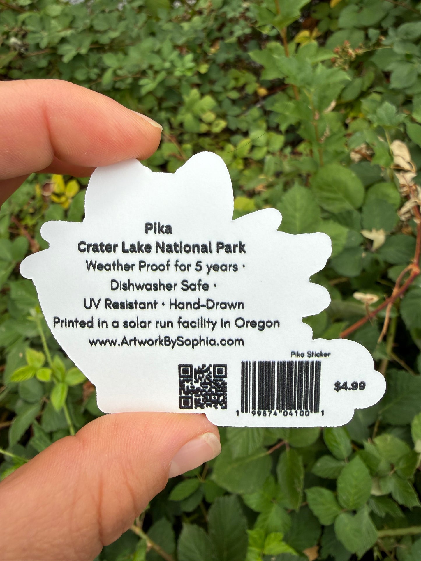 Pika - Crater Lake Sticker (double sided) 3in