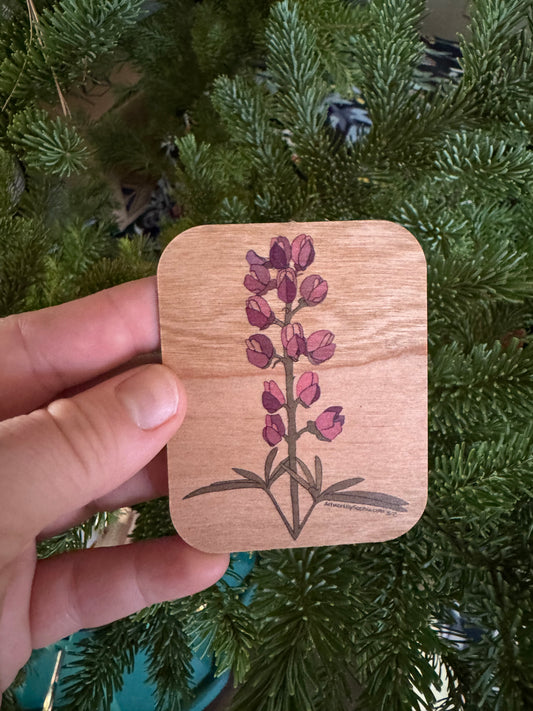 Lupine |  Wood Magnet | Colored Drawing | 3in