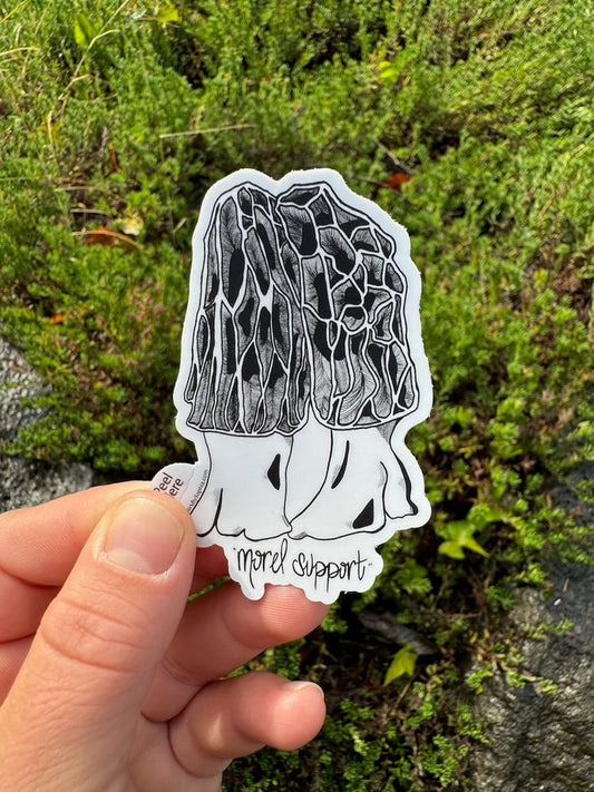 Morel Support Sticker π