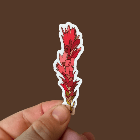 Indian Paintbrush 3in Sticker