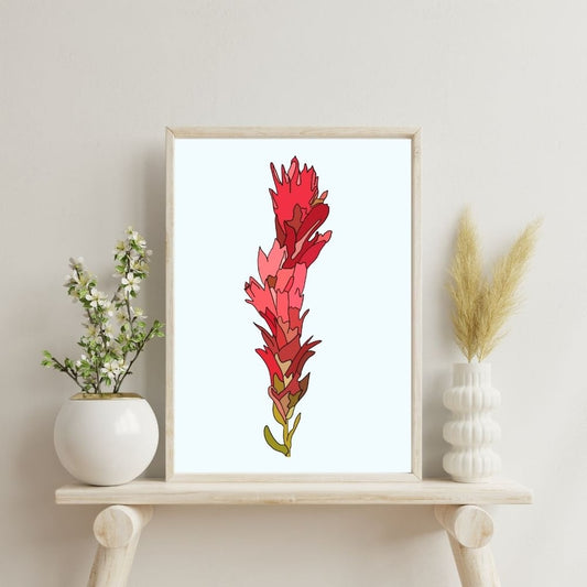 Indian Paintbrush Print
