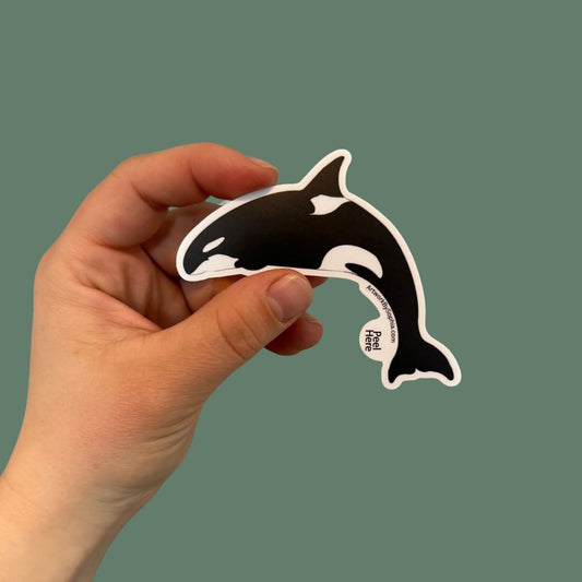 Killer Whale 3in Sticker (Orca Sticker) No Writing