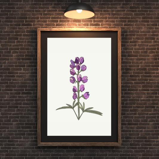 Lupine Flower Print