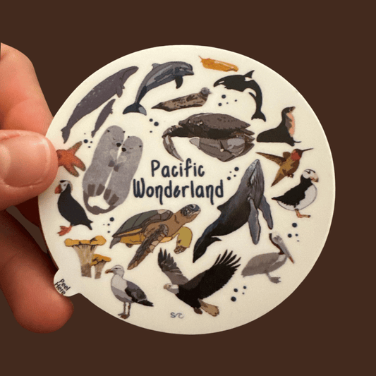 Pacific Wonderland Sticker