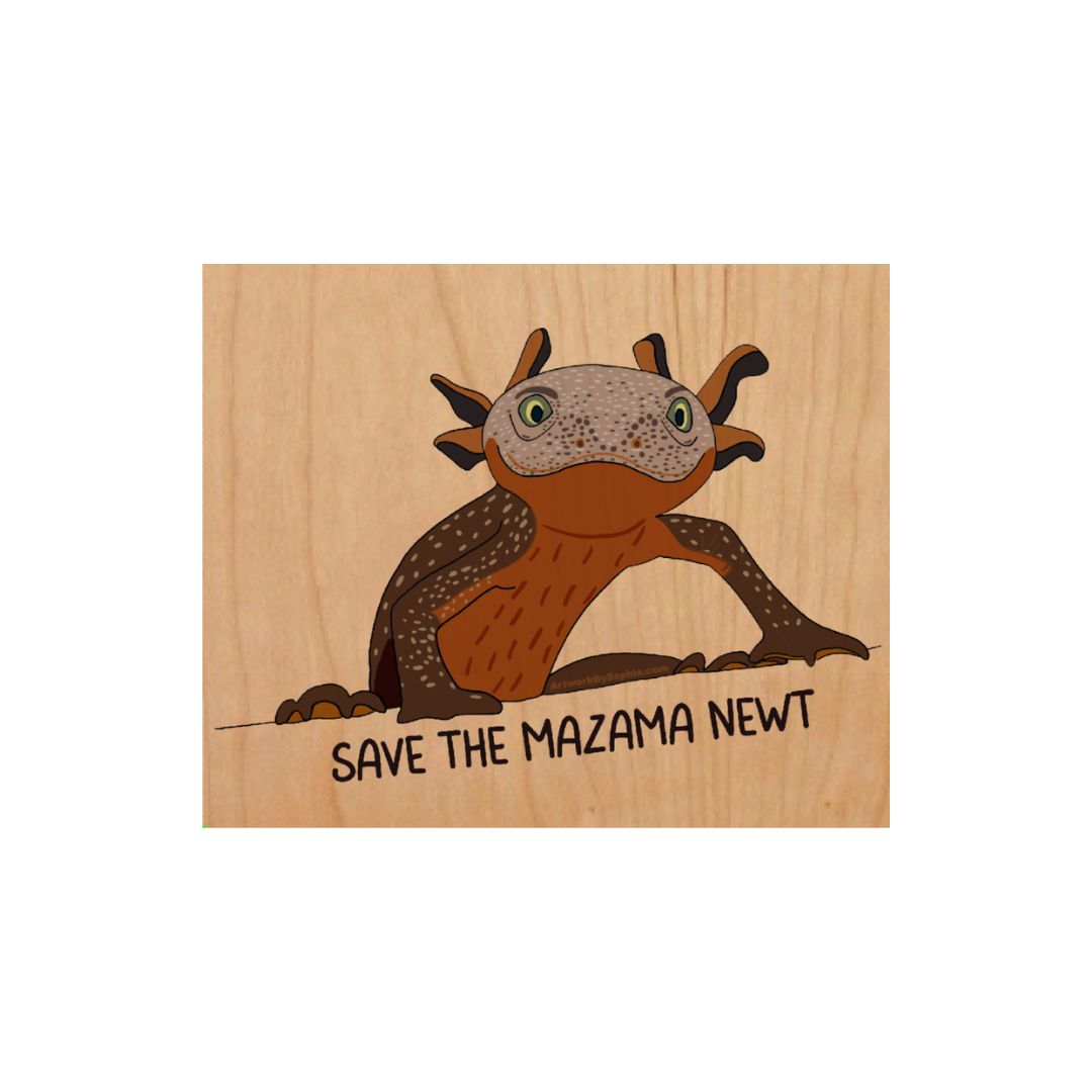 Save the Mazama Newt | Wood Magnet