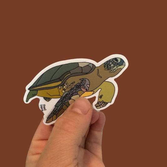 Sea Turtle Sticker