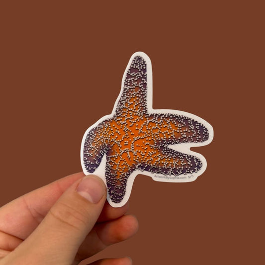 Star Fish 3in Sticker