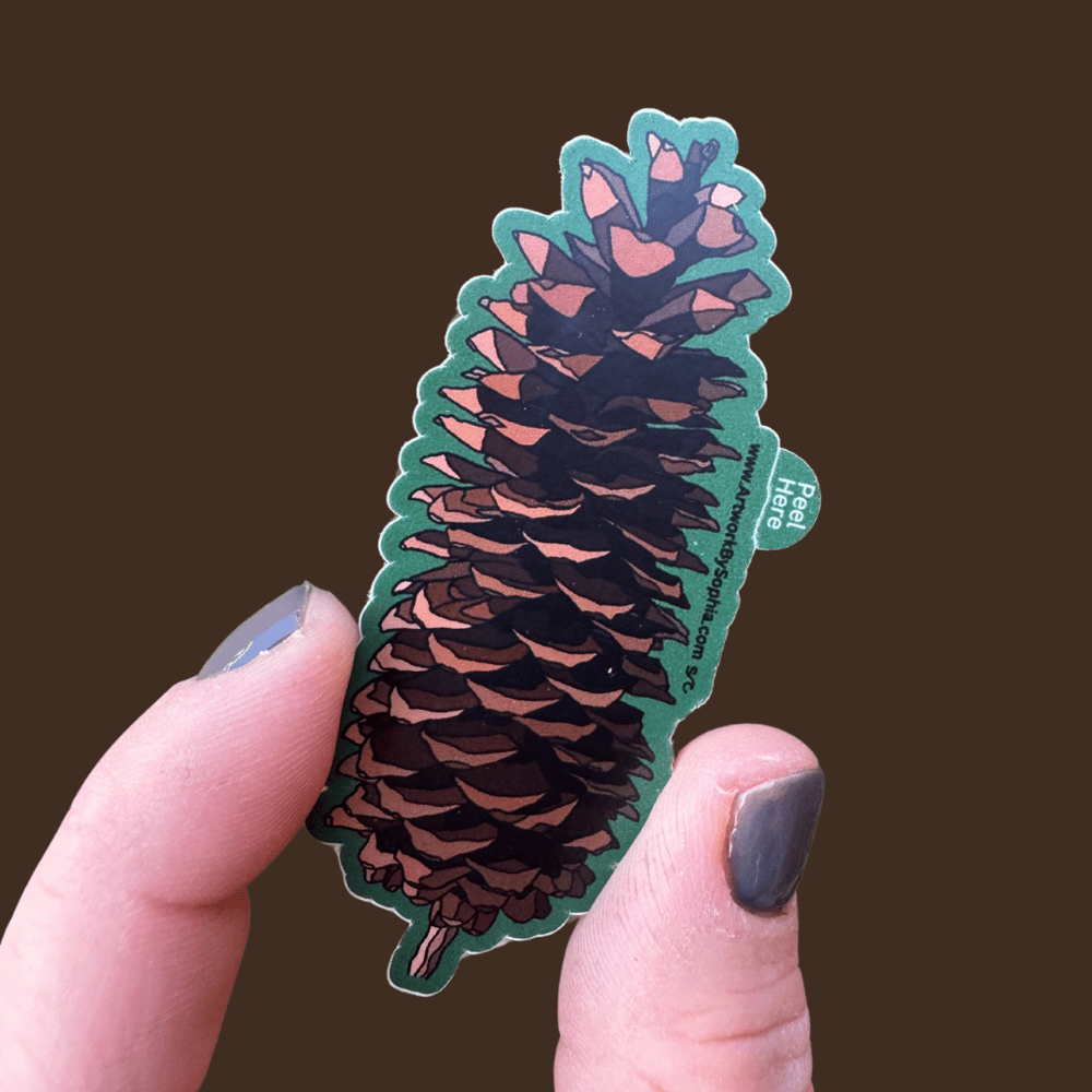 Sugar Pine Cone Sticker
