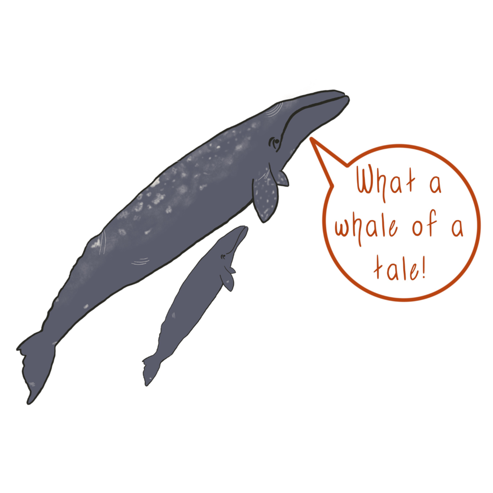 What A Whale Of A Tale - Whale Pun Sticker