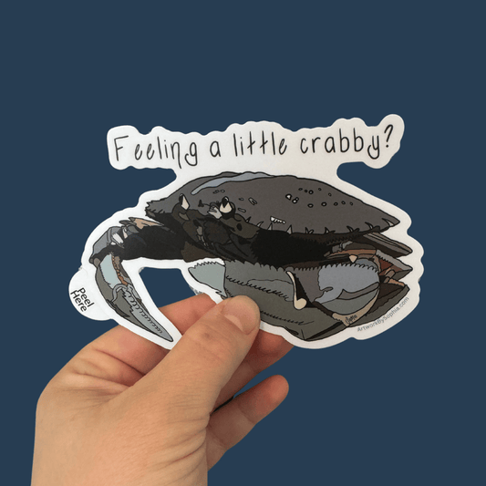 Feeling A Little Crabby - Crab Pun Sticker 5in