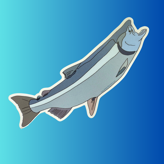 Salmon Sticker | Chinook Salmon Fishing Sticker | Illustration
