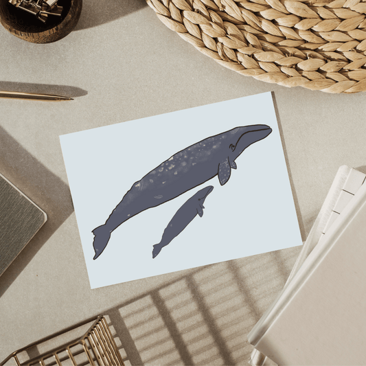 Grey Whale Greeting Card