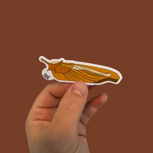 Banana Slug 3in Sticker