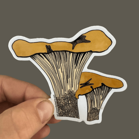 Chanterelle Mushroom Sticker 🍄
