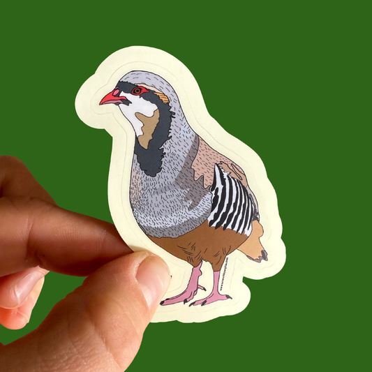 Chukar Sticker