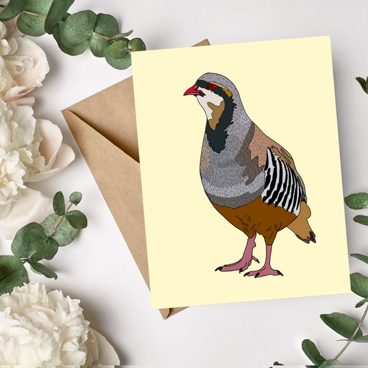 Chukar Partridge Bird Greeting Card