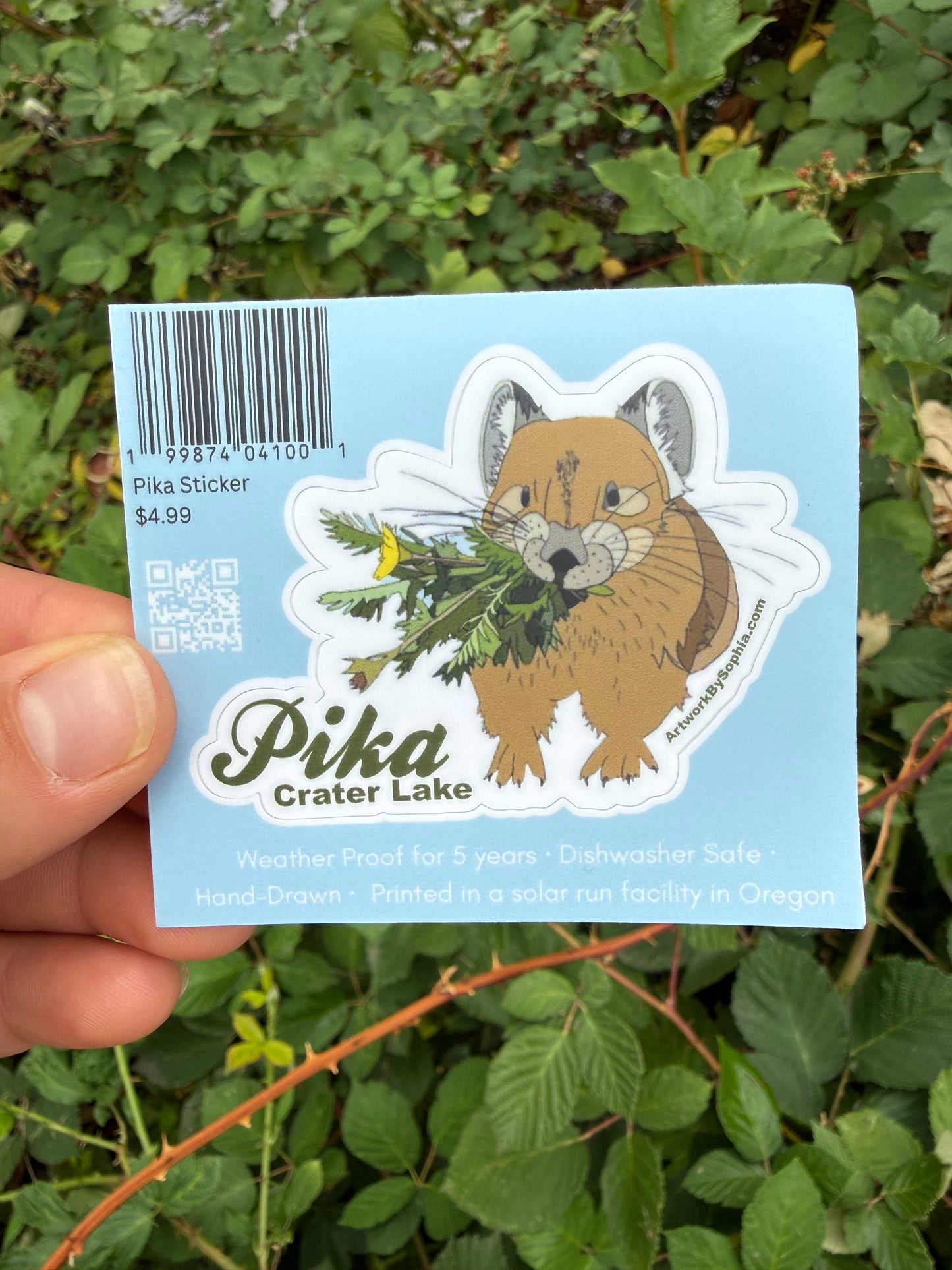 Pika - Crater Lake Sticker (single sided) 3in