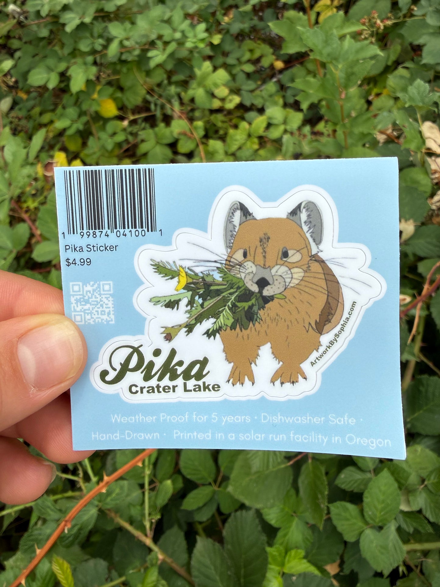 Pika - Crater Lake Sticker (single sided) 3in