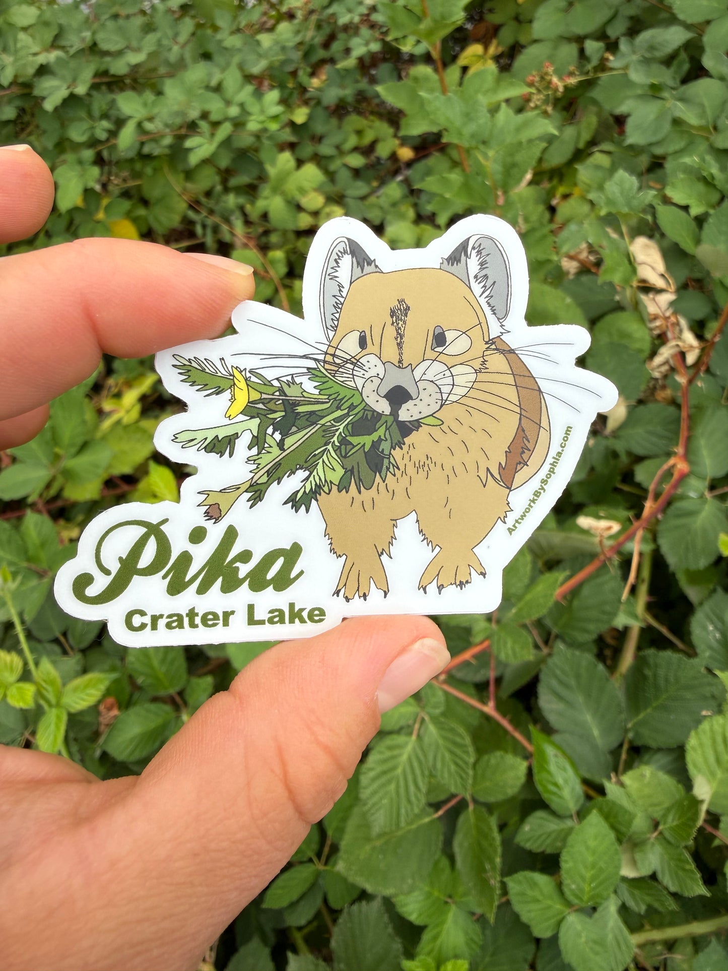 Pika - Crater Lake Sticker (double sided) 3in