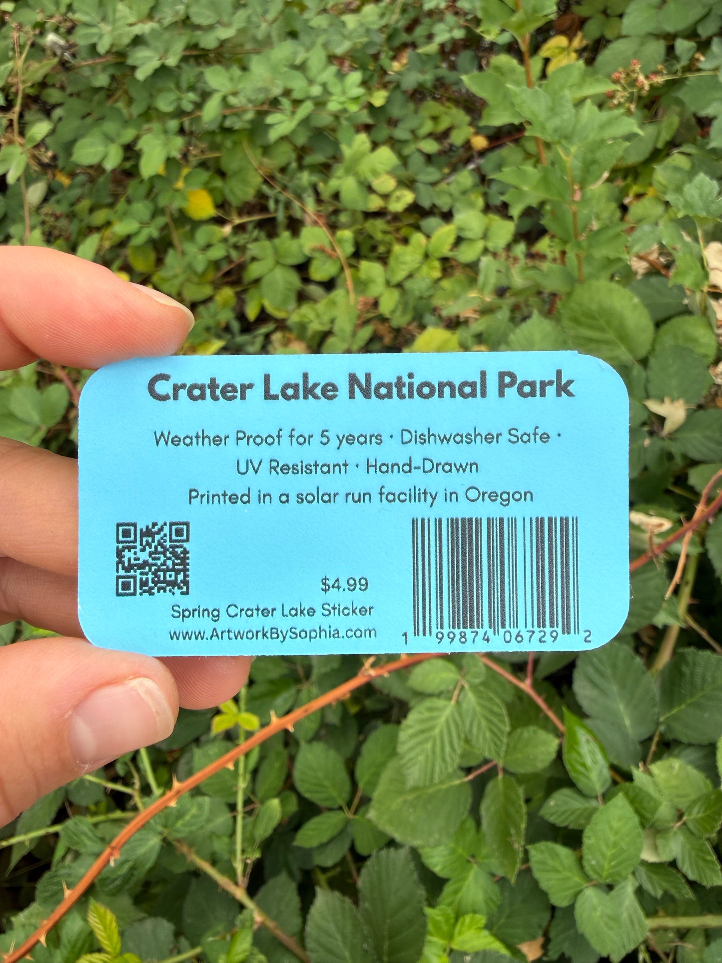 Crater Lake Spring (double sided) 3in