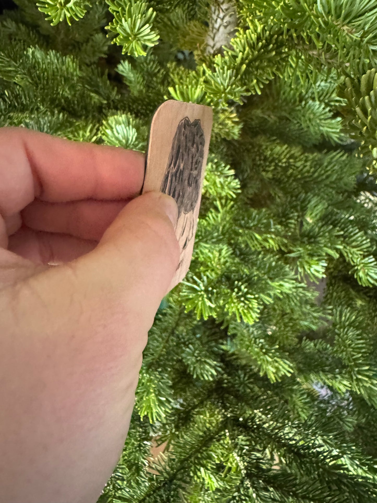 Morel Support |  Wood Magnet | Colored Drawing | 3in