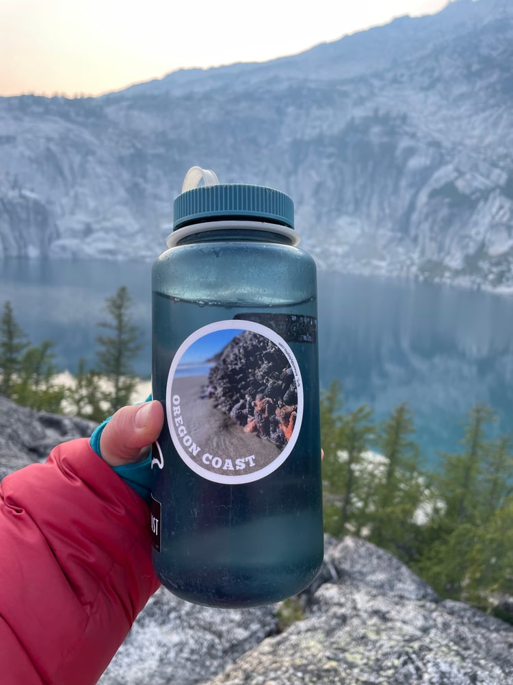 Tidepool with a View Sticker 🌊 – Artwork By Sophia