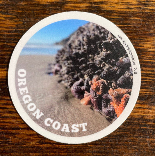 Tidepool with a View Sticker 🌊