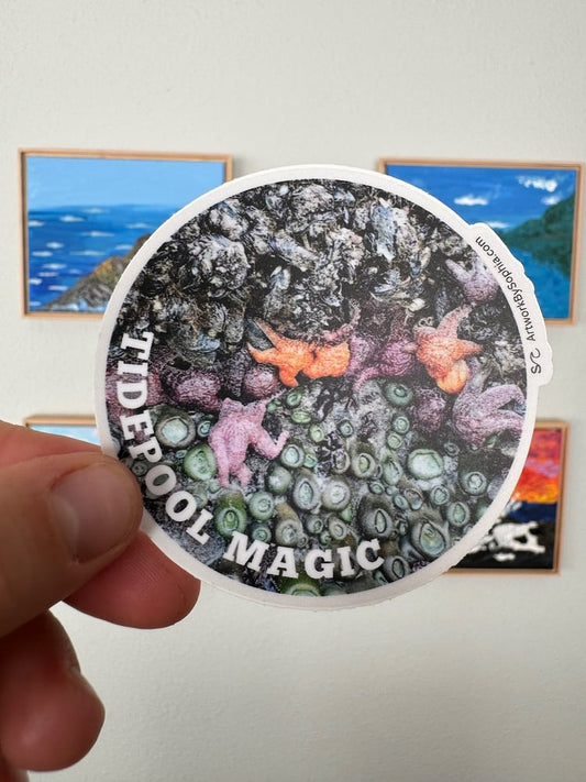 Tidepool Magic Sticker 🌊