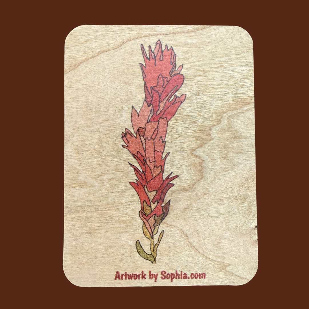 Indian Paintbrush |  Wood Magnet | 3in