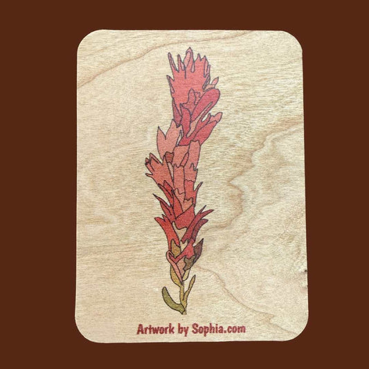 Indian Paintbrush |  Wood Magnet | 3in