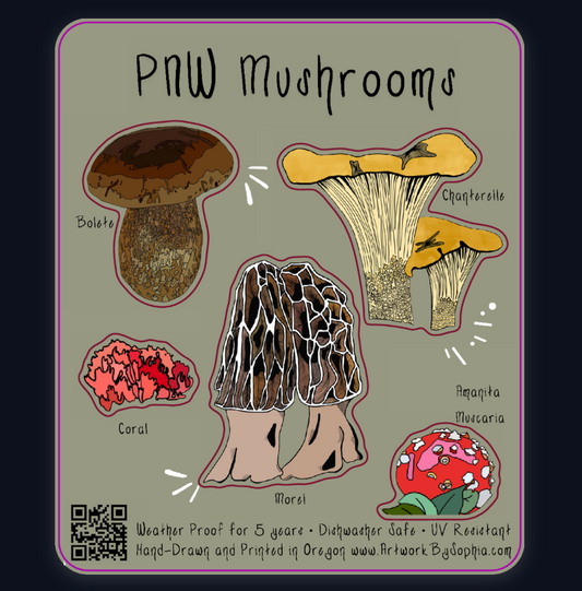 PNW Mushroom Sticker Sheet  |  Five Stickers | 4x6in