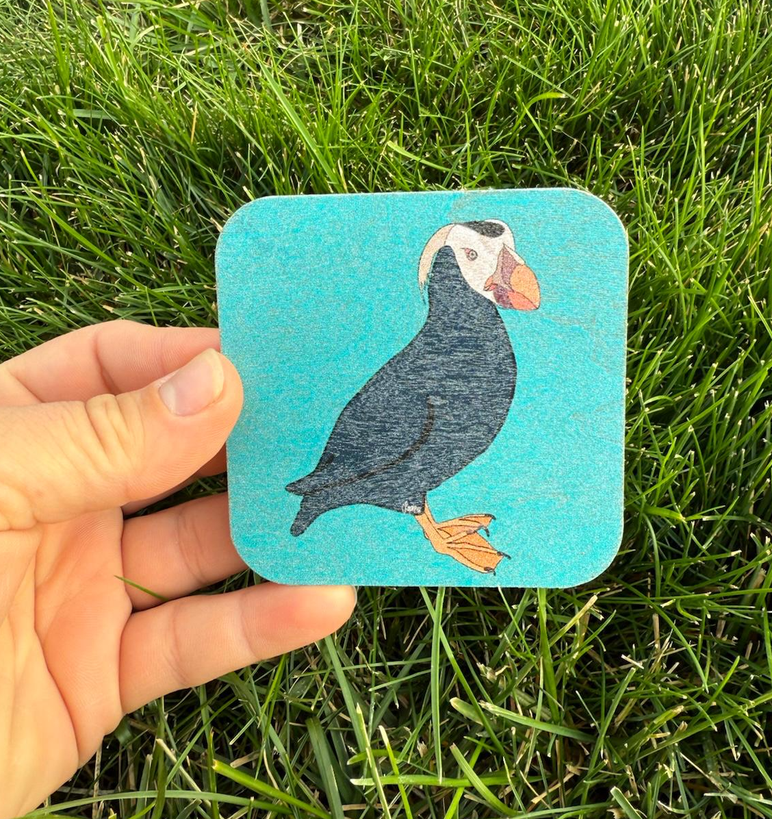 Tufted Puffin |  Wood Magnet | 3in
