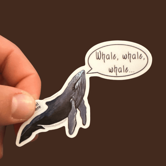 Whale, whale, whale - Whale Pun Sticker 3in