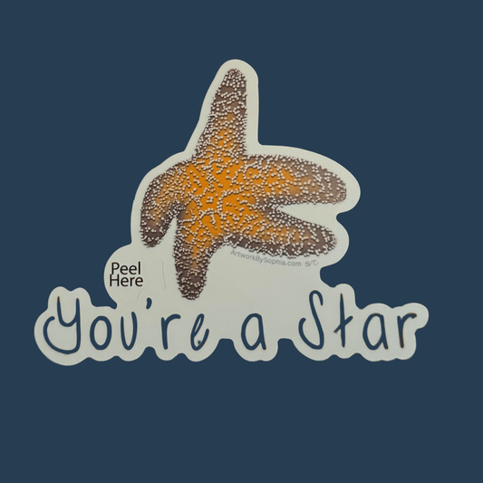 You're A Star - Starfish Pun Sticker 3in