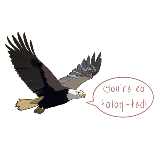 You're So Talon-ted! - Bald Eagle Pun Sticker