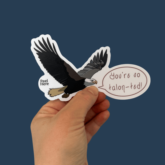 You're So Talon-ted! - Bald Eagle Pun Sticker
