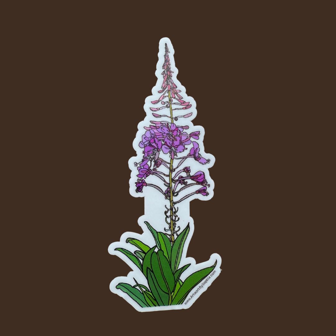 "Fireweed" | Vinyl Sticker | Illustration