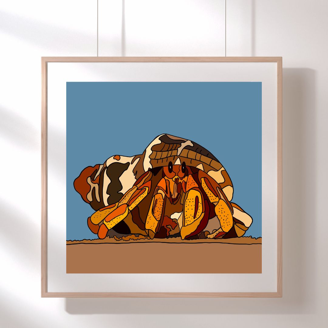 Hermit Crab - Hand Drawn - Artwork Print
