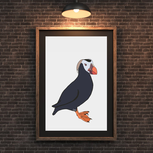 Tufted Puffin Print